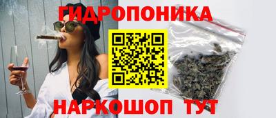 амф Аша