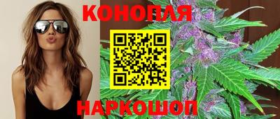 амф Аша
