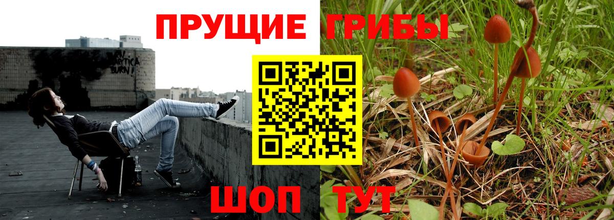 Псилоцибиновые грибы мицелий  Галлюциногенные грибы Psilocybine cubensis  Вход с VPN  что такое   Вятские Поляны 